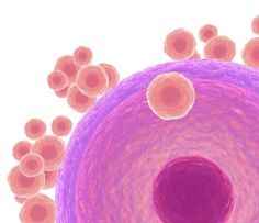 Image Title My Image