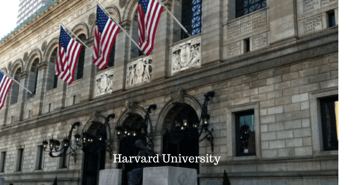 Image Title My Image